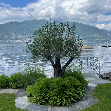 Riviera By Fewotessin