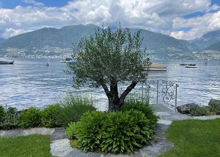 Riviera By Fewotessin