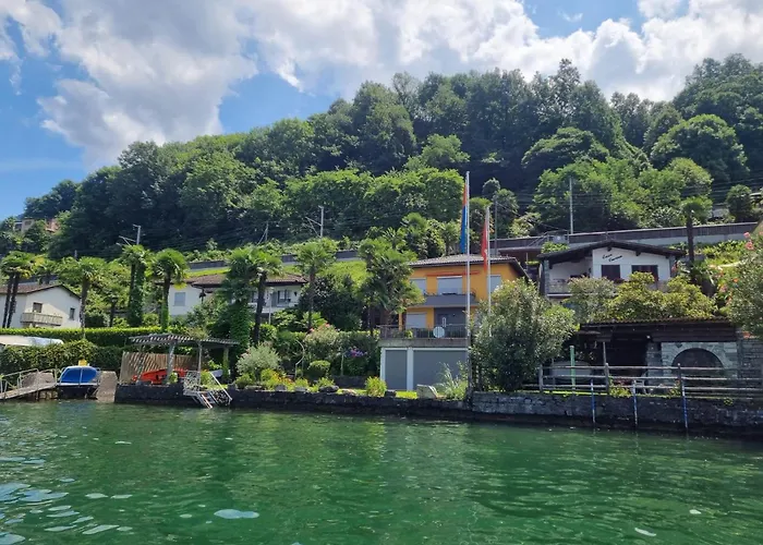 Riviera By Fewotessin *