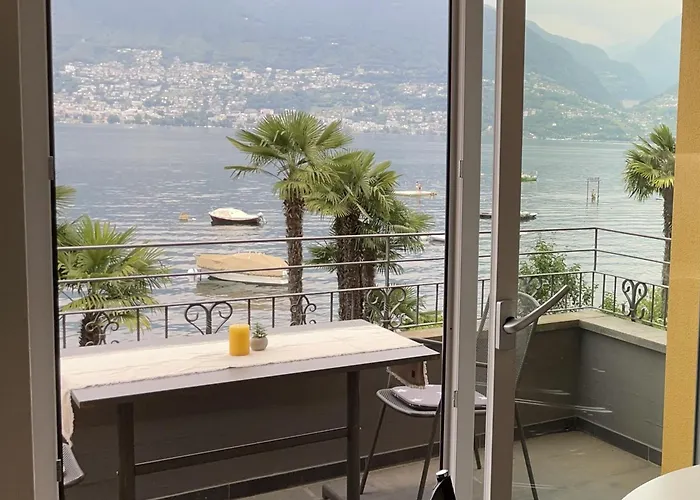 Riviera By Fewotessin *