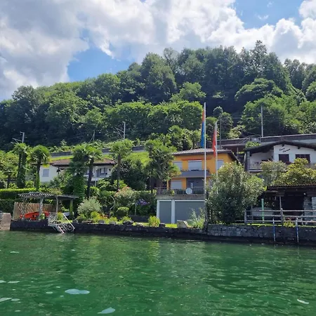 Riviera By Fewotessin *